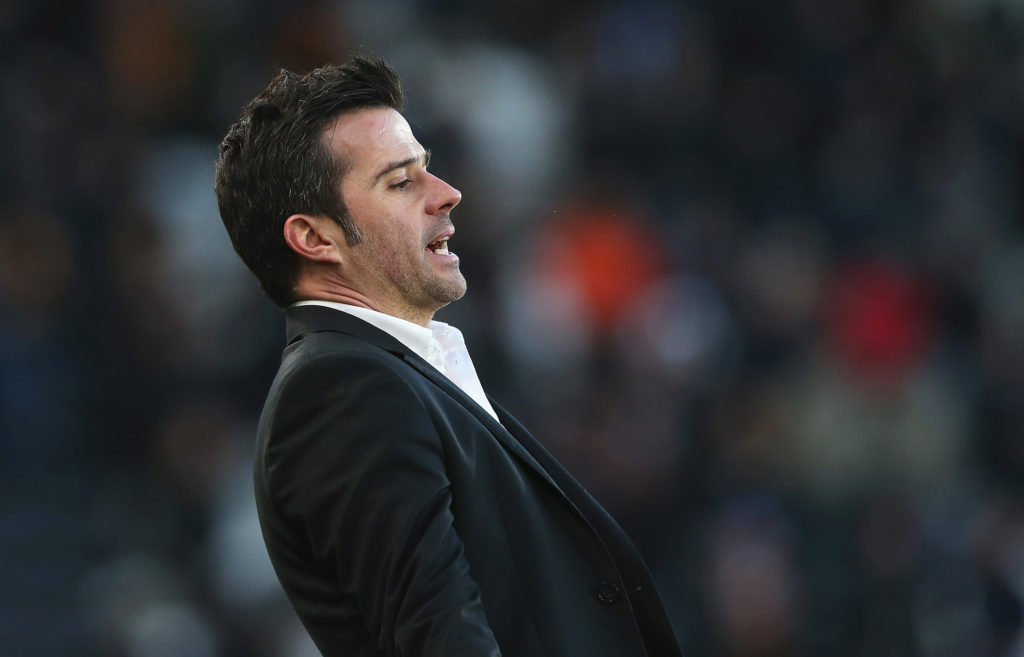 Davies: Marco already established Silva standard at Hull
