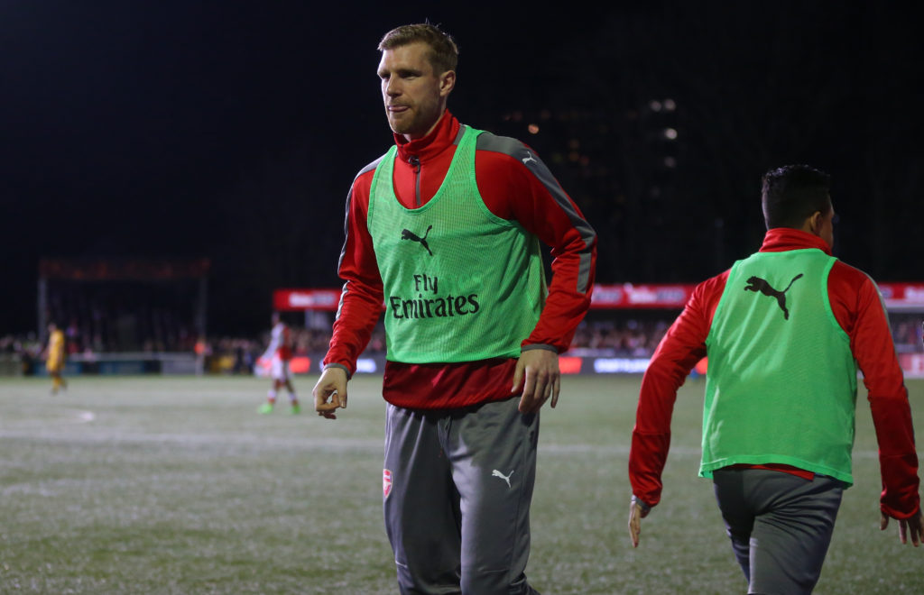 Mertesacker relishing Arsenal return