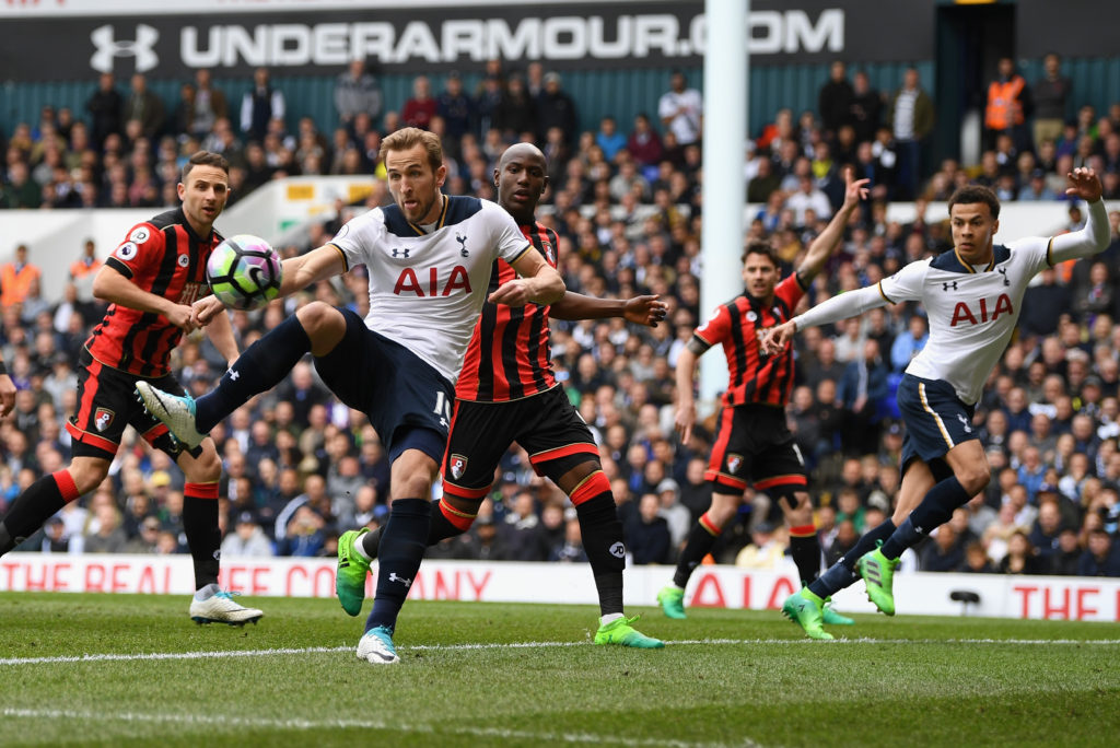 Berbatov hails Spurs ‘royalty’ Kane